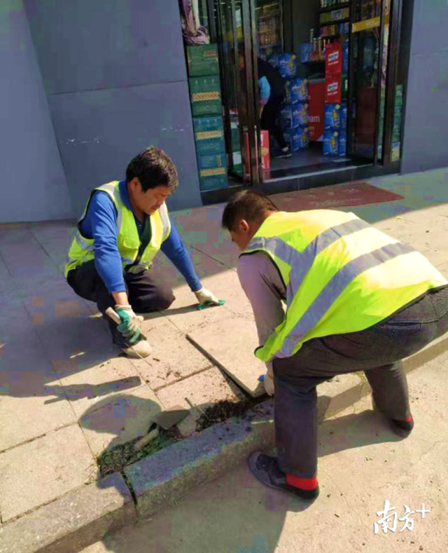 對(duì)北山路、南門(mén)大道等地段損壞路面進(jìn)行修復(fù)。