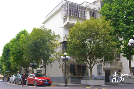 完成部分改造升級后的市政府生活區(qū)。張曉欣 攝