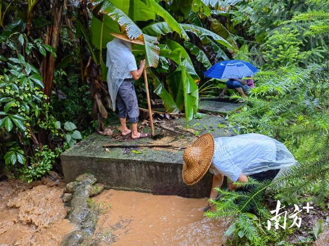 為保障陂嶺近三分之二村民用水，陂嶺村新老干部冒雨前往水源點(diǎn)解決集中供水問題。