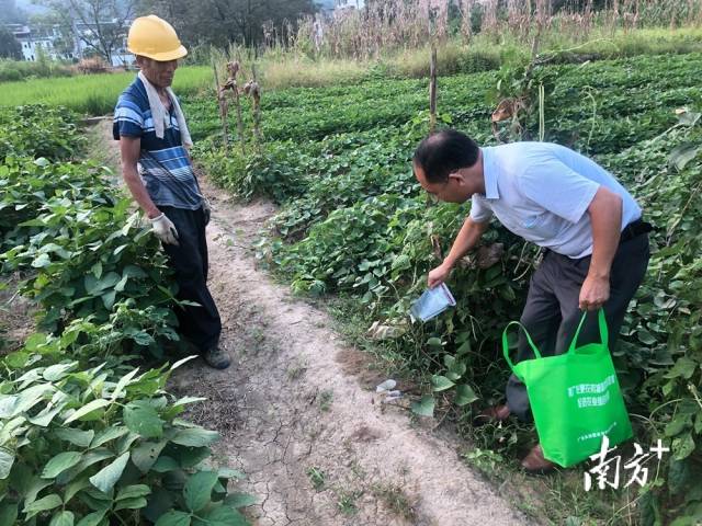 噴灑施藥。