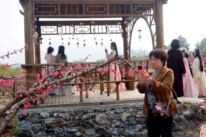 桃花節(jié)在九陂鎮(zhèn)開幕，迎來八方游客。清遠日報記者 周璐攝。
