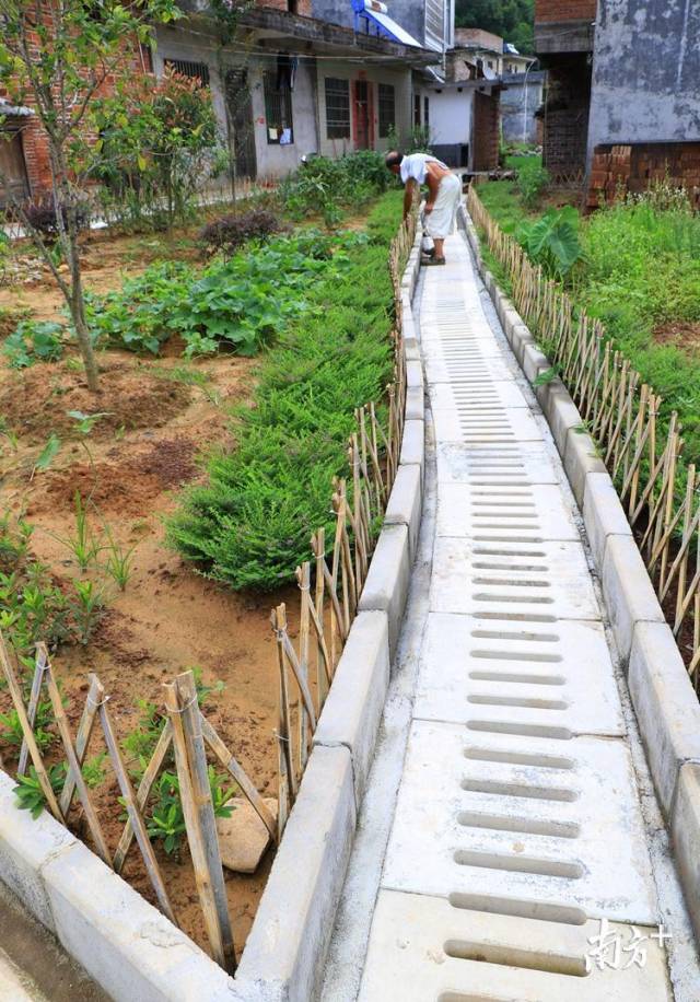 50個自然村建有污水處理系統(tǒng)。記者黃津 攝